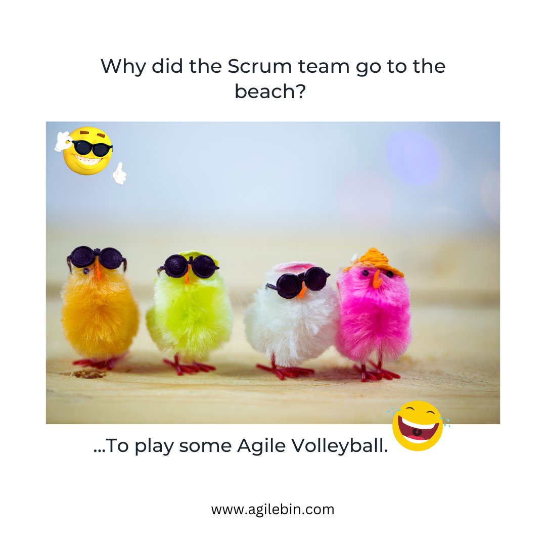 Agilebin tweet media