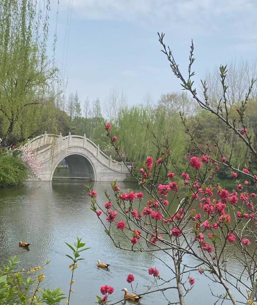 akerbroom's tweet photo. 烟花三月下扬州。 https://t.co/kR7JjQ5zOI