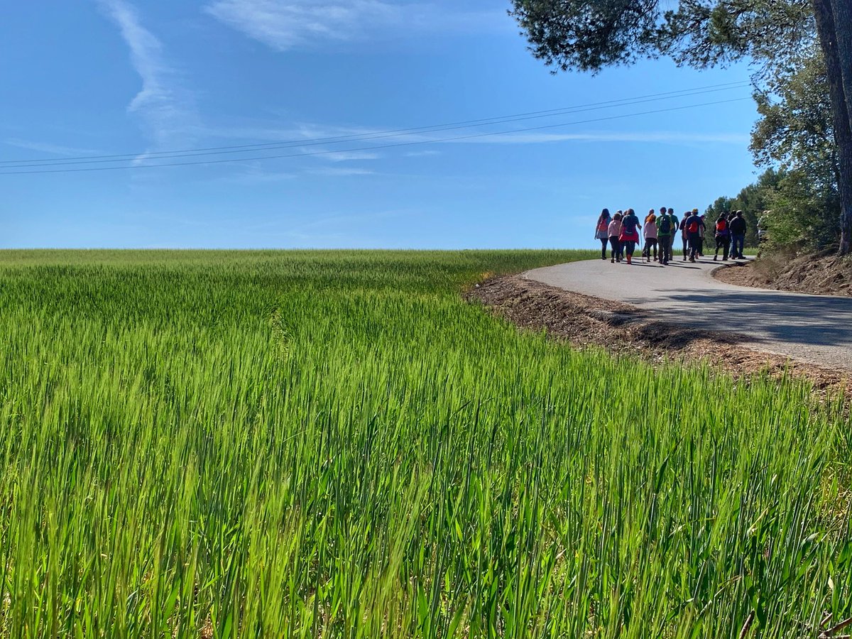 Celebrem el Dia Mundial de l’Activitat Física amb la caminada al Santuari de Juncadella 💚💙

#DMAF2023 
#capsantjoandevilatorrada 
#posatenmarxa 
#sumasalut 
<a href="/GentActiva/">GentActiva</a> 
<a href="/icscatcentral/">ICS Catalunya Central</a> 
<a href="/icscat/">ICS. Generalitat</a> 
<a href="/esportcat/">Esports</a>