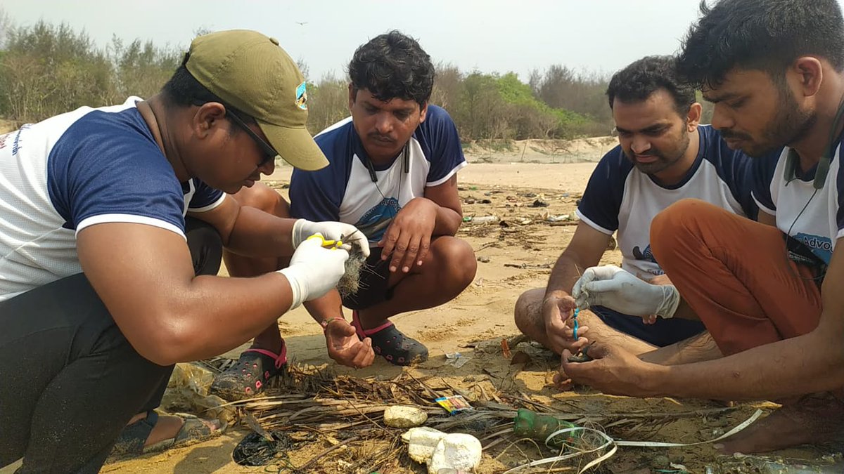 Sparrow4Sagar's tweet photo. Emergency Response at Rushikulya Olive Ridley Sea Turtle Mass Hatchlings 2023 @PMOIndia
@dpradhanbjp @moefcc @byadavbjp @USAndIndia
#savetheplanet #saveseaturtles #SaveWorldSaveLife #savesealife #savewildlifeEmergency https://t.co/Yvm1K7jspG