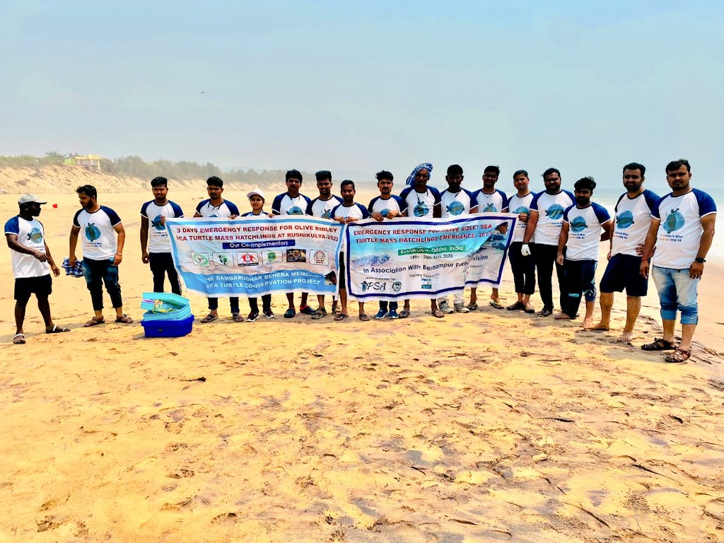 Sparrow4Sagar's tweet photo. Emergency Response at Rushikulya Olive Ridley Sea Turtle Mass Hatchlings 2023 @PMOIndia
@dpradhanbjp @moefcc @byadavbjp @USAndIndia
#savetheplanet #saveseaturtles #SaveWorldSaveLife #savesealife #savewildlifeEmergency https://t.co/Yvm1K7jspG