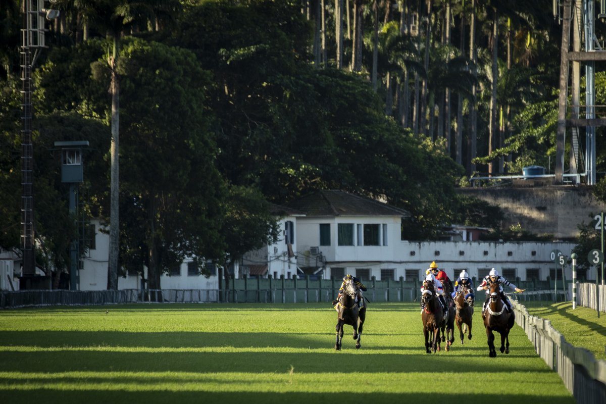 JockeyClubBR's tweet photo. 😍🏇🏼📸 #jockey #jockeyclubbrasileiro #turfe #turf #joquei #photo #photography #sport #sportsphotography Fotos @jcotta https://t.co/eTgsqJAfxd