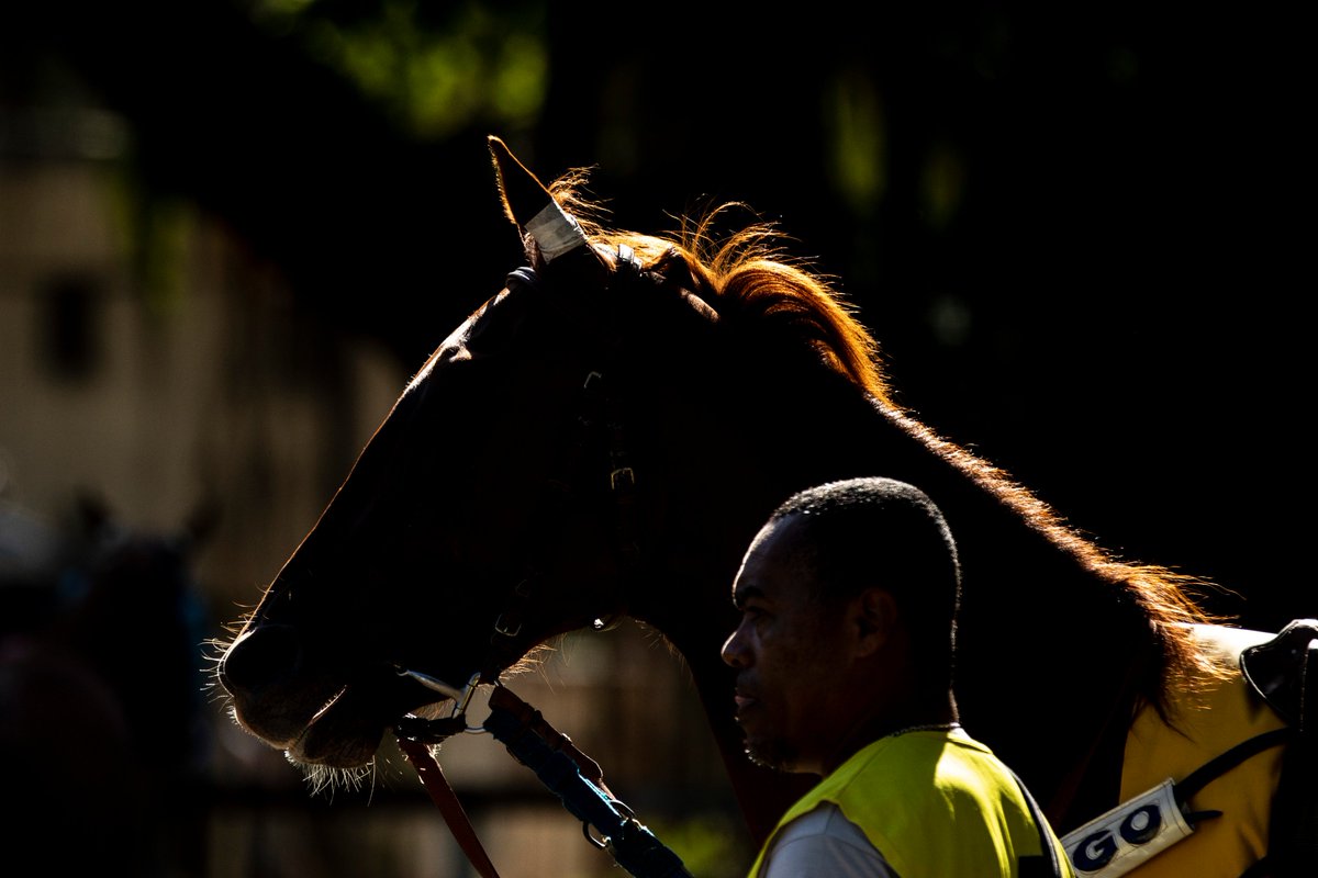 JockeyClubBR's tweet photo. 😍🏇🏼📸 #jockey #jockeyclubbrasileiro #turfe #turf #joquei #photo #photography #sport #sportsphotography Fotos @jcotta https://t.co/eTgsqJAfxd