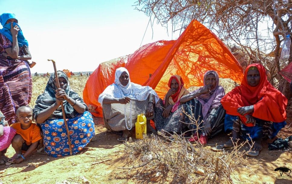 givetolearnfdn's tweet photo. As Ramadan comes to a close, we ask you to support our efforts to aid those ravaged by Conflict, Drought and Hunger

By supporting GTLTG programs in #Sool, you help us bring hope to those experiencing unimaginable levels of suffering

Donate: https://t.co/QFS6Xdqoc3
#Laascaanood https://t.co/vNC5HVpuOv