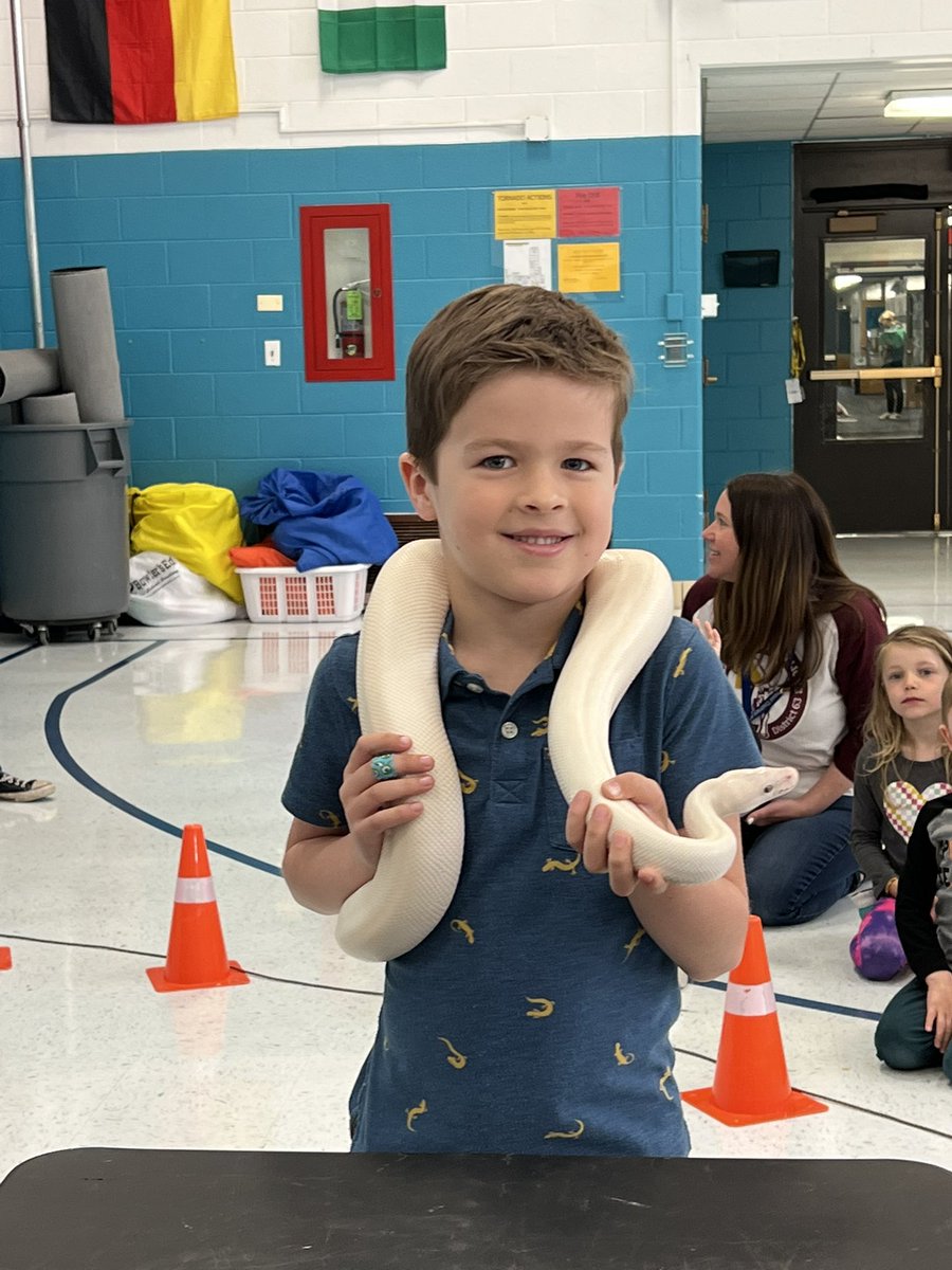 Shannon Lombardo tweet media