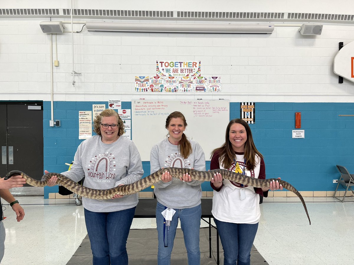 Shannon Lombardo tweet media