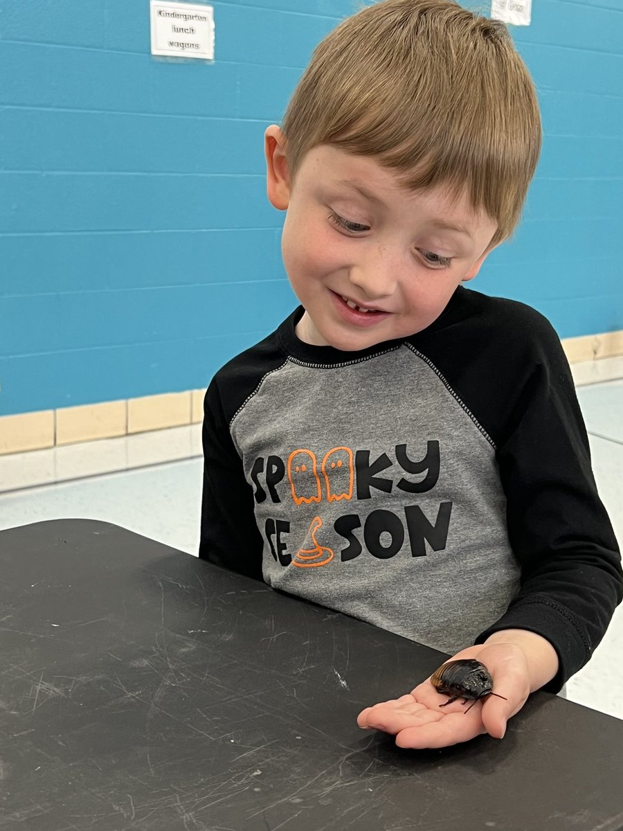 Shannon Lombardo tweet media