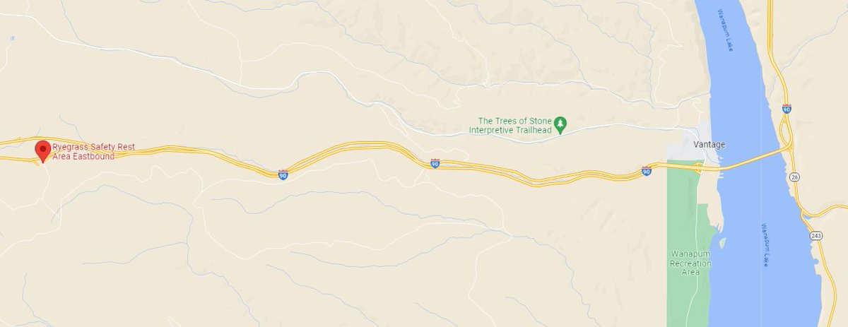 SnoqualmiePass's tweet photo. WARNING: There is a large elk herd along I-90 between Ryegrass and Vantage. Please be cautious as you travel this area in both directions. https://t.co/Tn6ZamAsOa