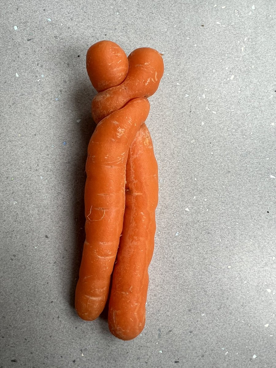 petrina hardy tweet media