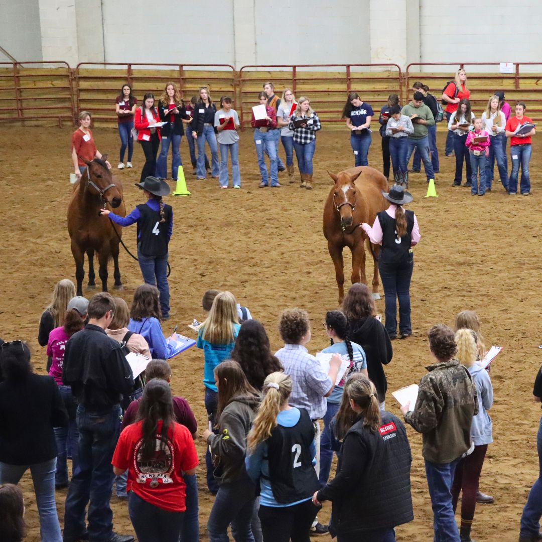 North Carolina FFA tweet media