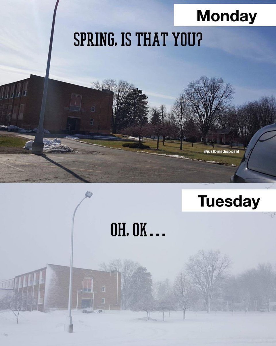 amberwoodske's tweet photo. Yup!   Sounds about right.  We have a couple of inches already with a couple more to come by end of day.  #Saskatchewan #thirdwinter https://t.co/vWiHuZqU63