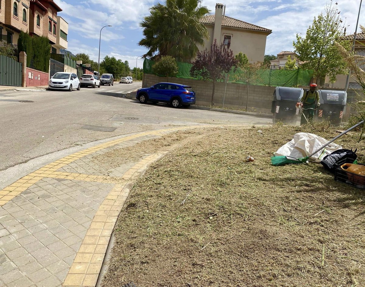 Aurora Suárez tweet media