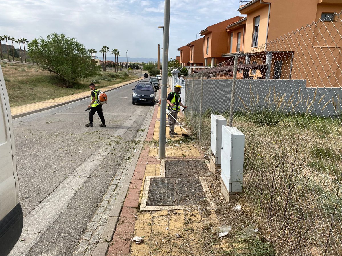 Aurora Suárez tweet media