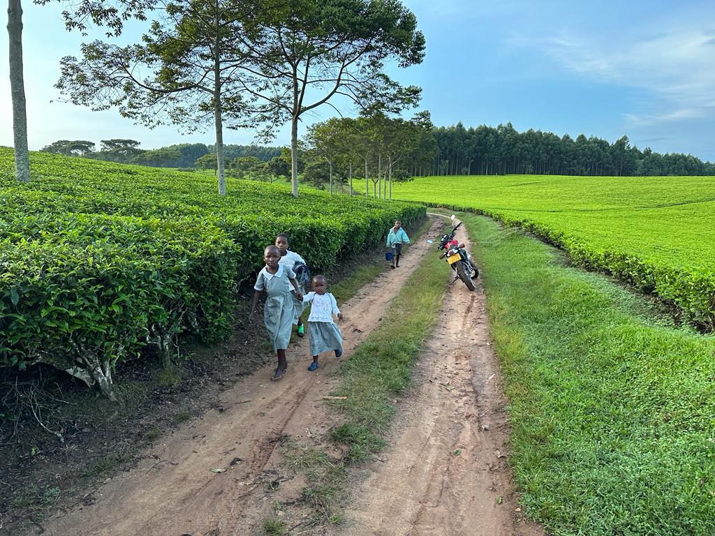 Say 'No' to Child labour in Tea Sector. Let the Children go to School for their better tomorrow.