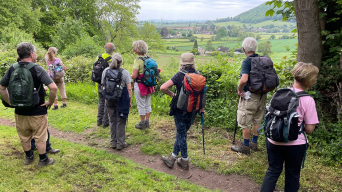 Visitor+ tweet media