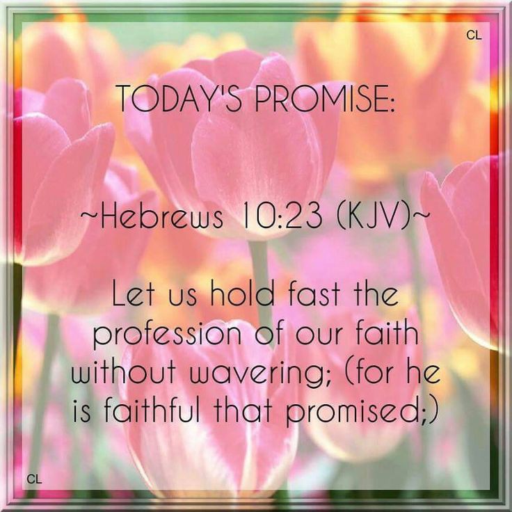 👋🙂How's your day going... Will you pause with me in prayer? 'Father God, help me to trust Your promises w/ renewed hope & childlike faith. If You say it, I believe it - may my words agree w/ Your words & my actions reflect obedience in Jesus' Name Amen.' ✨️⛅️🤗blessings!