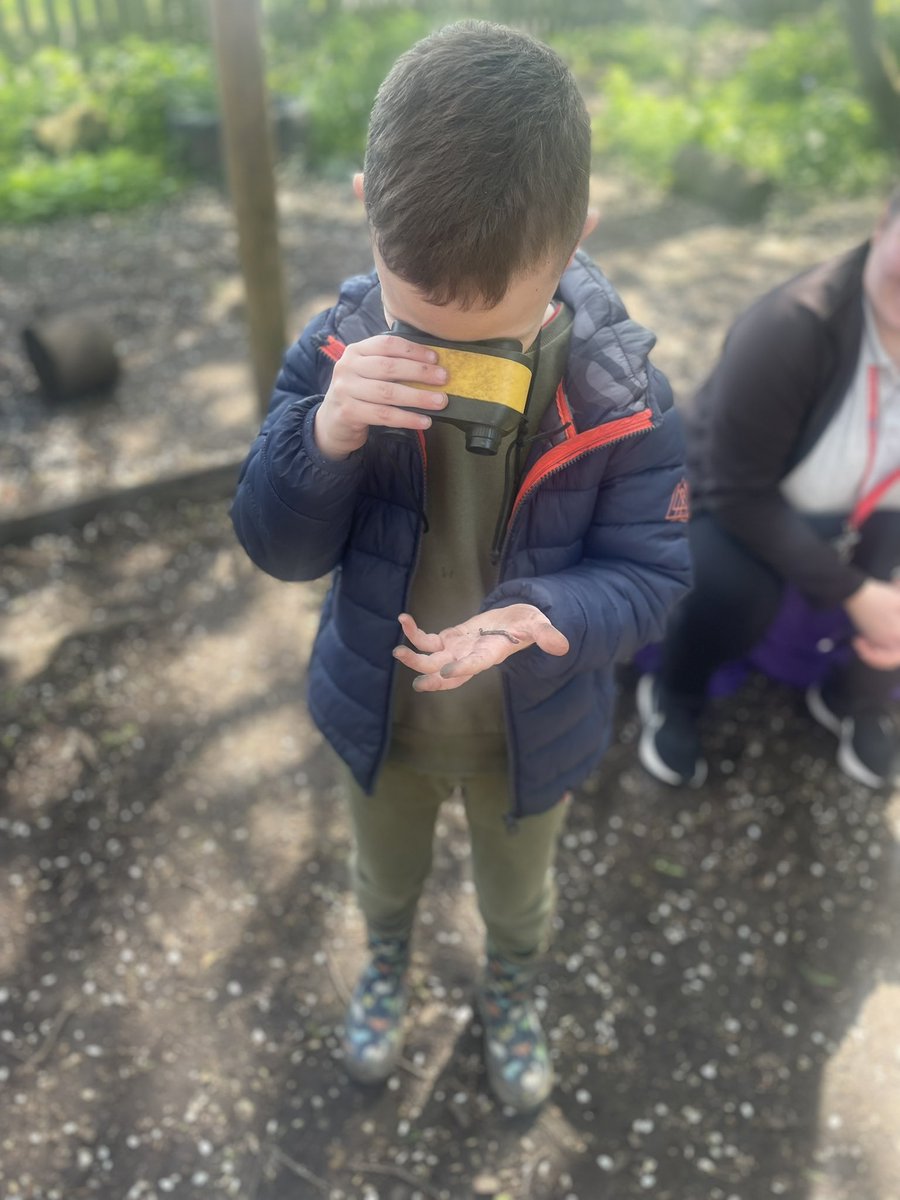Miss Nesbit (@missnesbitremat) on Twitter photo Lots of fun in the sun for <a href="/YRGarston/">Reception at Garston Primary</a>’s Forest School session 🌿☀️ The leaves are growing back on our trees, making our hide and seek places even harder to find ! <a href="/GarstonCE/">GarstonCE</a> <a href="/SMcDonoughREMAT/">Mrs McDonough</a> Lots of fun in the sun for <a href="/YRGarston/">Reception at Garston Primary</a>’s Forest School session 🌿☀️ The leaves are growing back on our trees, making our hide and seek places even harder to find ! <a href="/GarstonCE/">GarstonCE</a> <a href="/SMcDonoughREMAT/">Mrs McDonough</a>