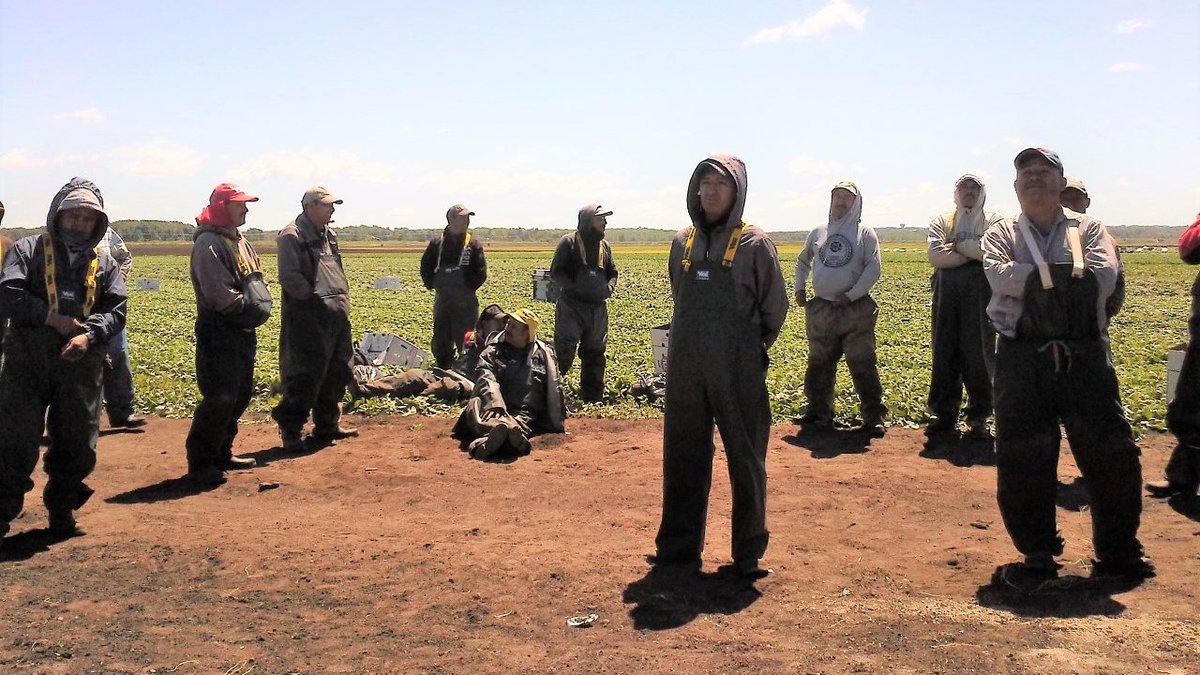 Con la primavera, el Consulado General ha aumentado sus visitas de protección preventiva, orientación laboral y asistencia consular a los centros agrícolas en Ontario donde se encuentran nuestros jornaleros adscritos  al Programa de Trabajadores Agrícolas Temporales (PTAT) 🇲🇽 🇨🇦.
