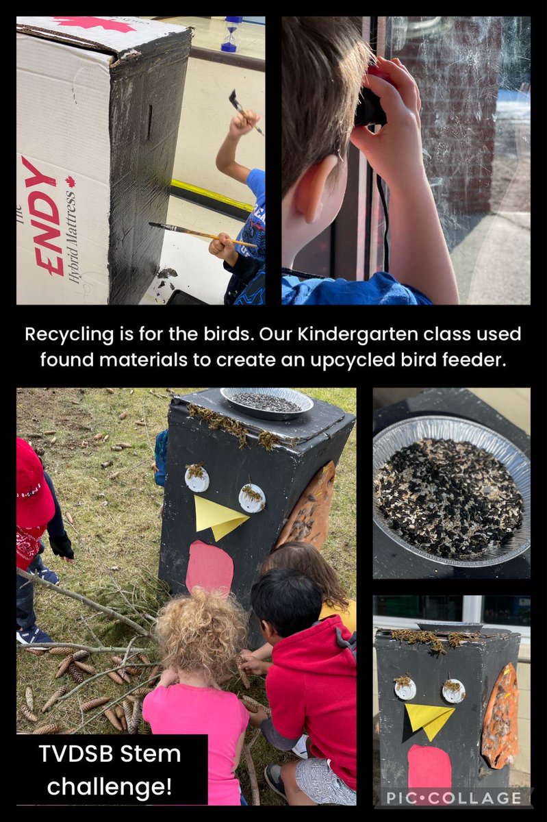 A. Harris tweet media