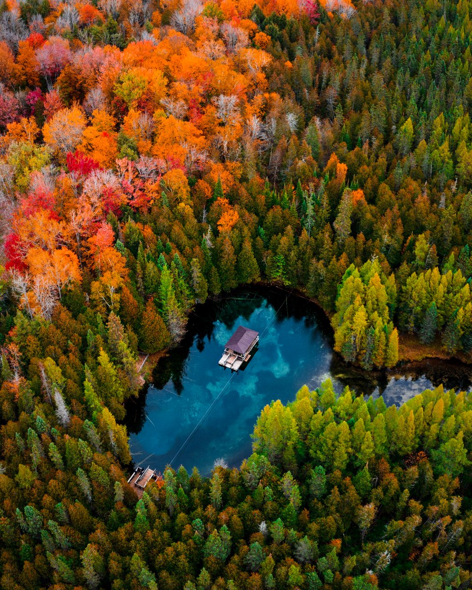Discovery's tweet photo. 📍 Kitch-iti-kipi, Michigan

A beautiful drone shot of the largest freshwater spring in the upper peninsula of Michigan.

@JimBelushi heads to the Great Lake state to look for the best genetics in cannabis on tonight’s #GrowingBelushi at 9p ET.

Photographed by Trace Hudson. https://t.co/Lnke5OZewT