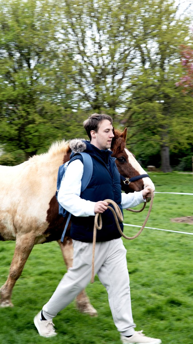 Starting our new ‘At Risk’ programme in White City, West London, yesterday, the horses helped the young men unlock any painful emotions preventing their progress as they took their first steps towards a positive future. #workshop #teamwork #positivity #whatif #younited