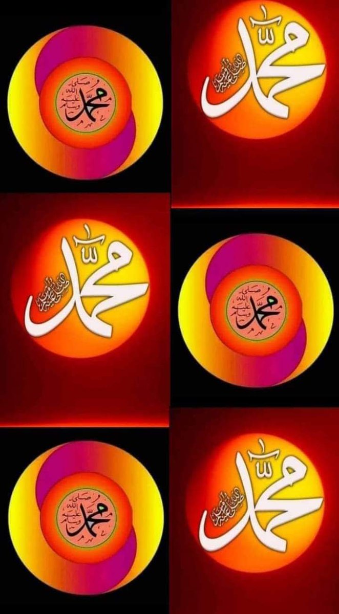 shacni252's tweet photo. Today's Best Photo ⚘️❤️⚘️❤️⚘️❤️⚘️❤️⚘️❤️⚘️❤️⚘️❤️Beautiful https://t.co/cdK1gnynFo