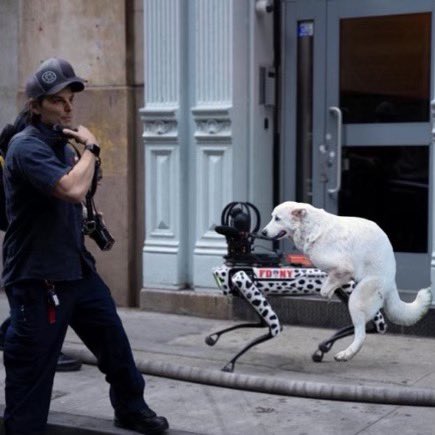 FireSafetyNYC's tweet photo. The new FDNY robotic dog was assaulted while operating at a building collapse the other day. https://t.co/wXRDjfOLGm