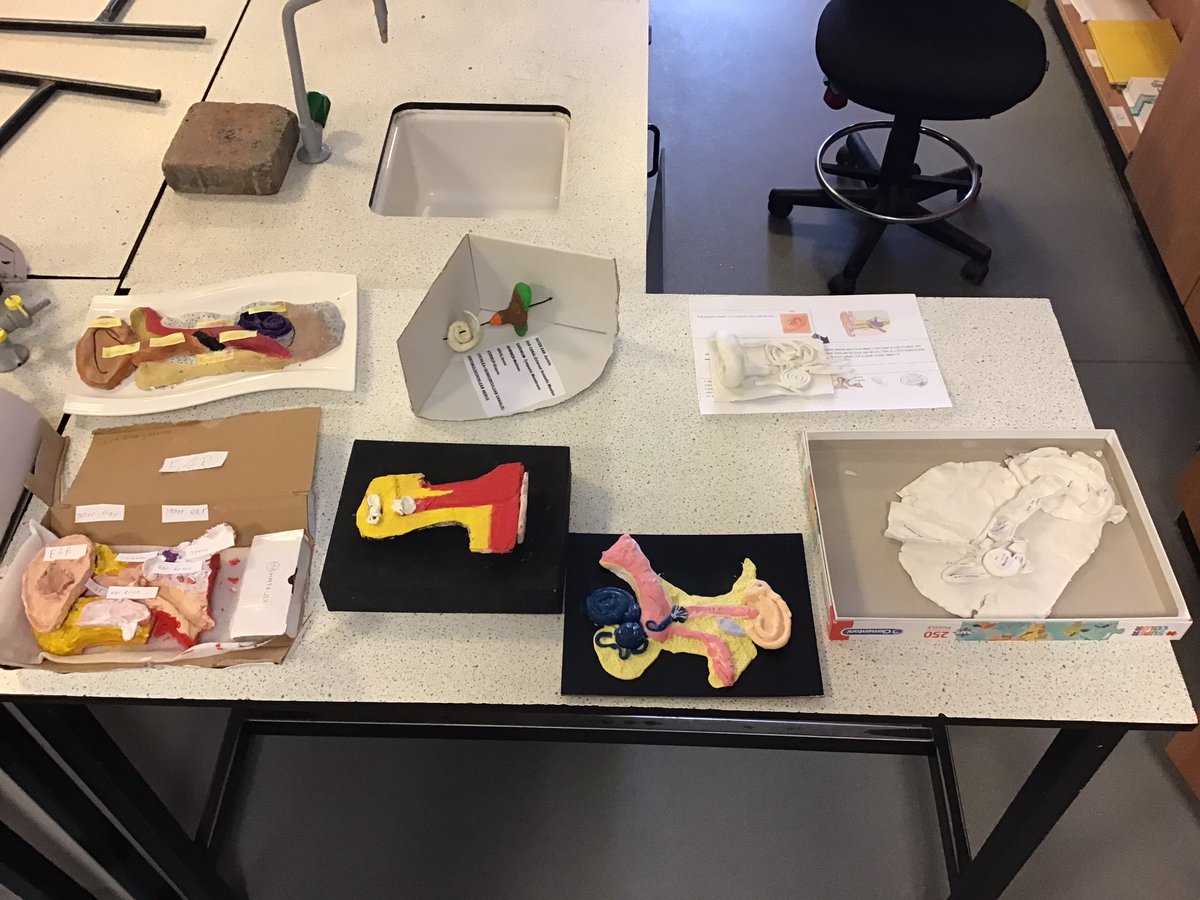 Roundhay Science tweet media