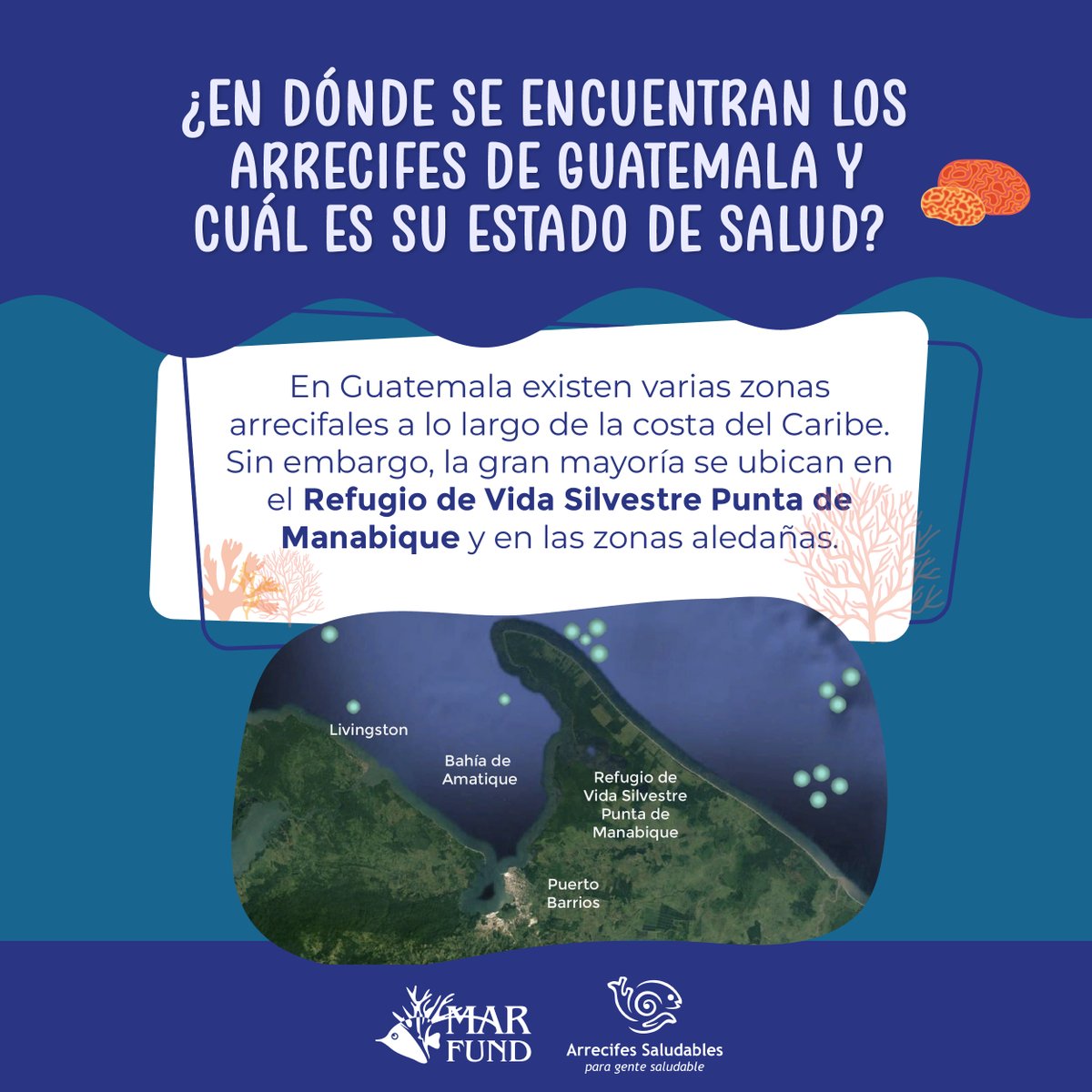 MAR_Fund's tweet photo. Sumérgete con nosotros a los #arrecifes de #Guatemala. Aprende sobre su estado de salud y las amenazas a las que se enfrentan. Lee y comparte.
Conoce, valora y actúa en favor de la conservación del Sistema Arrecifal Mesoamericano (SAM).  @HealthyReefs #SomosRedLAC https://t.co/8iENqslVVA