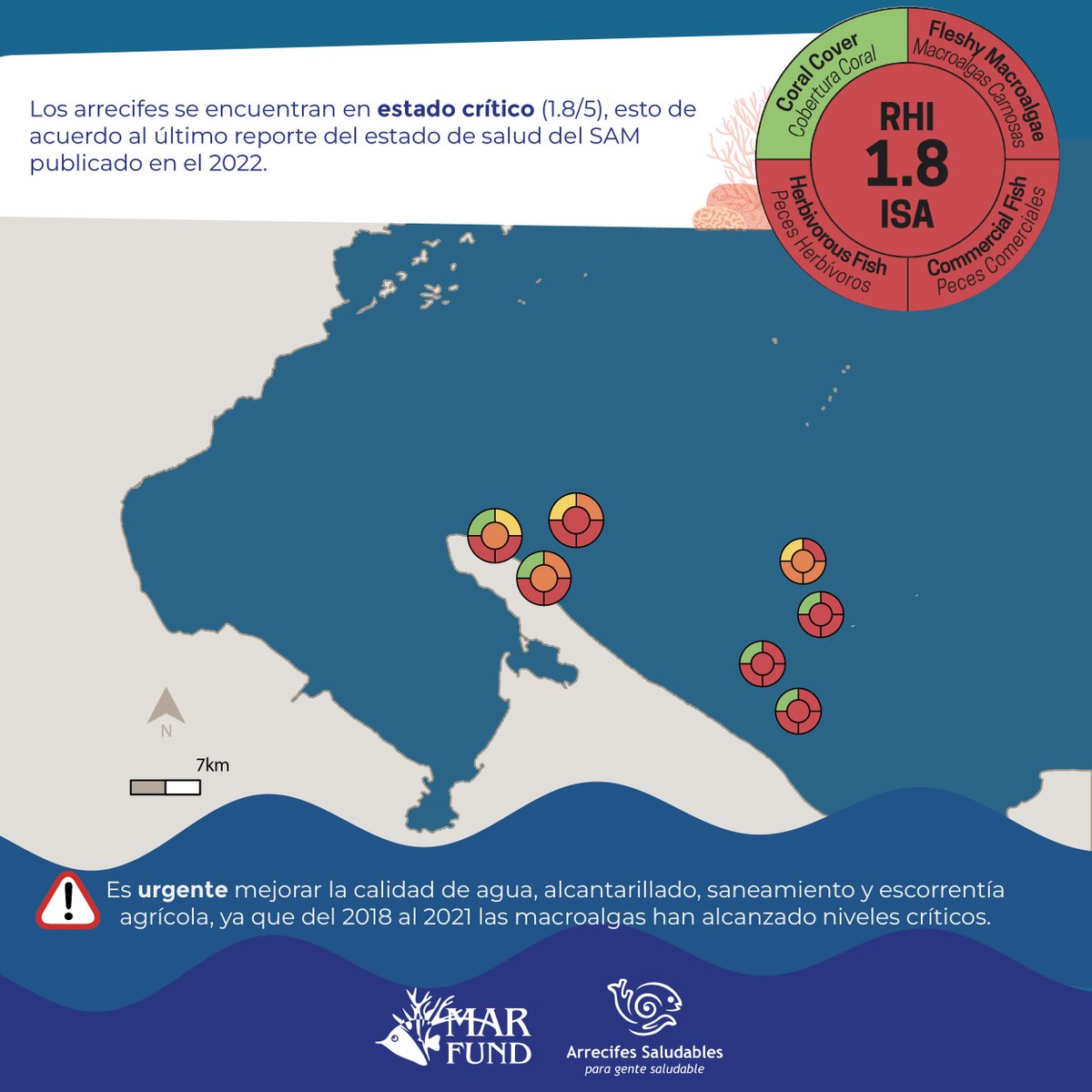 MAR_Fund's tweet photo. Sumérgete con nosotros a los #arrecifes de #Guatemala. Aprende sobre su estado de salud y las amenazas a las que se enfrentan. Lee y comparte.
Conoce, valora y actúa en favor de la conservación del Sistema Arrecifal Mesoamericano (SAM).  @HealthyReefs #SomosRedLAC https://t.co/8iENqslVVA