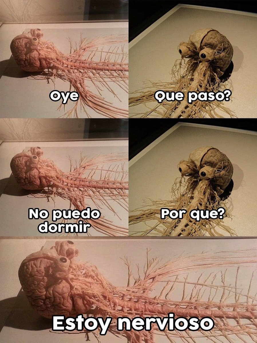 EnsedeCiencia's tweet photo. https://t.co/lWogajZmNN