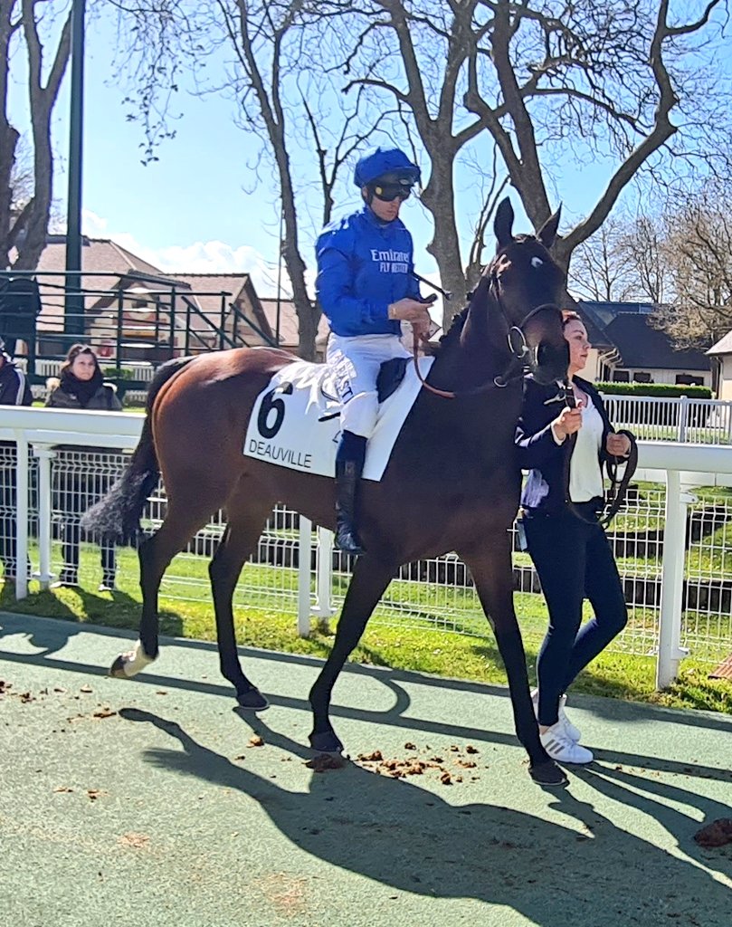 seenthestars's tweet photo. Potentially informative pair of races @paris_longchamp on Thursday with a view to the mile Classis in France. #HalfwayLine and #Valimi among 8 colts in Prix Machado (1510 🇬🇧🇮🇪/1610🇫🇷) #Quickstep #Kelina and Boussac fourth Start Me Up feature in Prix du Louvre (1620 🇬🇧🇮🇪/1720🇫🇷) https://t.co/dlTsudfxZX