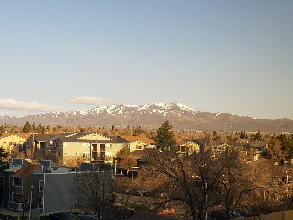 Good morning Reno! I am so happy to be here participating at the #AABA2023 A week full of #BioAnth 😊🦍🐵🐒💀👨👩🦄🗿🦷🧬🔩🔍🧪🧫🔬