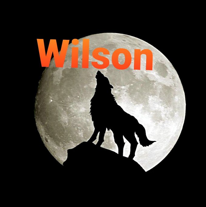 TheWriterWilson's tweet image. 'Oowoowoo'
"Jake why are you howling?"
'I'm from a long line of #timberwolf #caretakers protecting our #tribe of misfits. Creeping nightly on the cliffs of insanity. I hunt Food for the Soul. I travel the pathways of codependency. Seeking health &amp;amp; healing.'

#vss365 #2WordPrompt