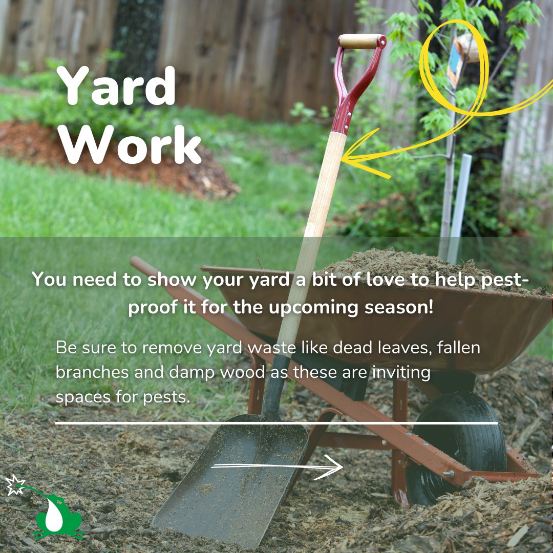 realbuzzboss's tweet photo. โ๏ธ How to pest-proof your home for Spring ๐
Add yard work to your list โ
Learn more: https://t.co/8XuE96M69K
#BuzzBoss #PestFree #ShowThemWhosBoss #BiteBackWithBuzzBoss #BuzzBossKnows https://t.co/46pJM4GV5e