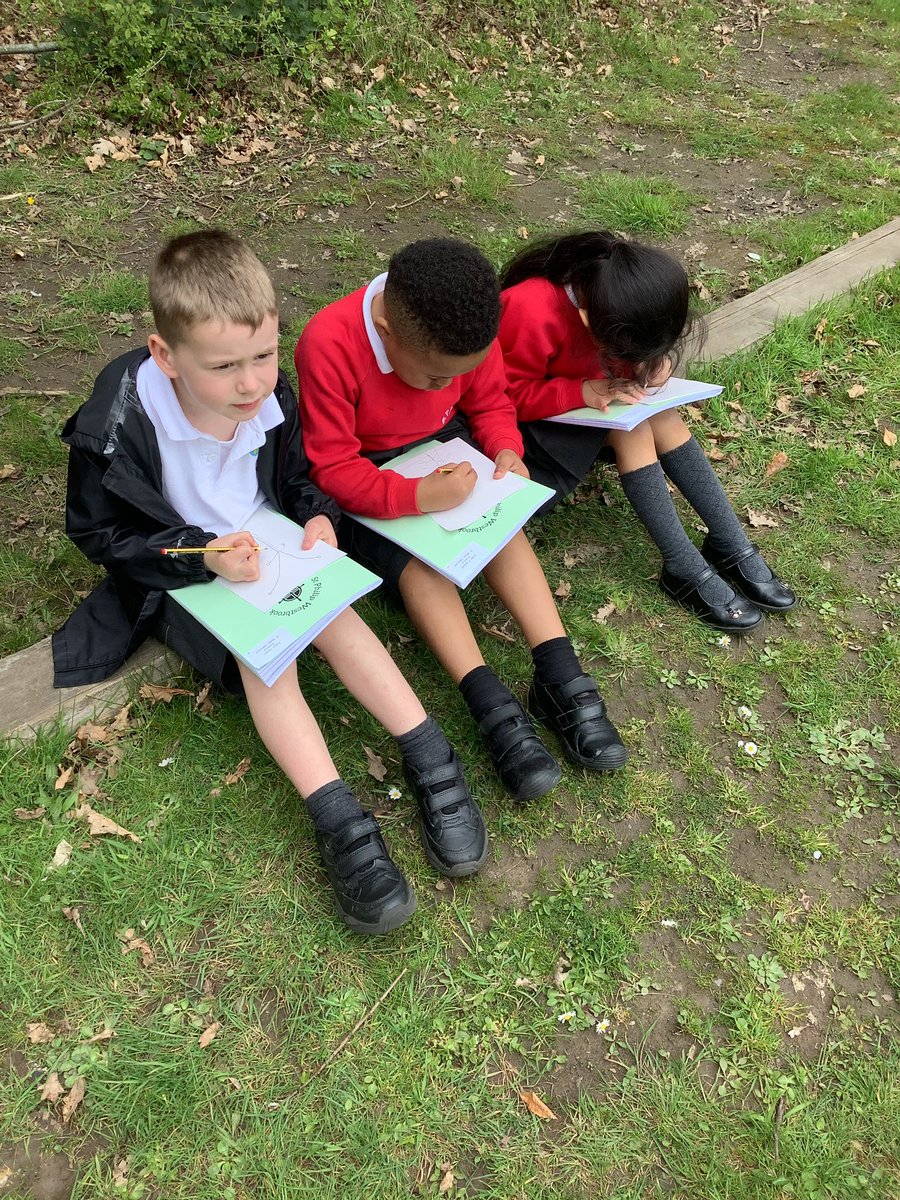 StPhilipsY2B's tweet photo. In Science today, we observed local trees closely and then labelled the key features of a tree. 🌳 @StPhilipCEAP https://t.co/xZpQv9tuJe
