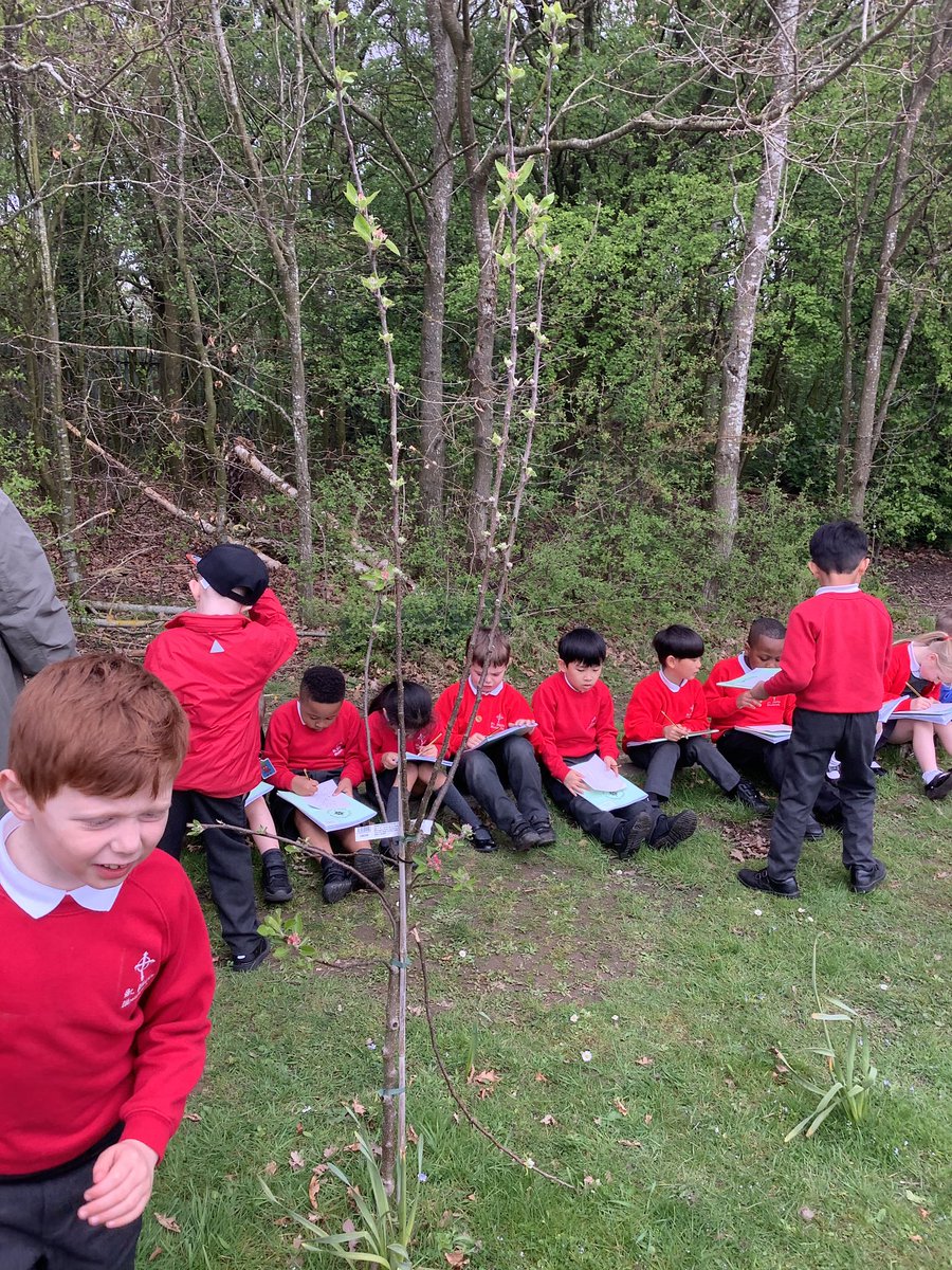 StPhilipsY2B's tweet photo. In Science today, we observed local trees closely and then labelled the key features of a tree. 🌳 @StPhilipCEAP https://t.co/xZpQv9tuJe