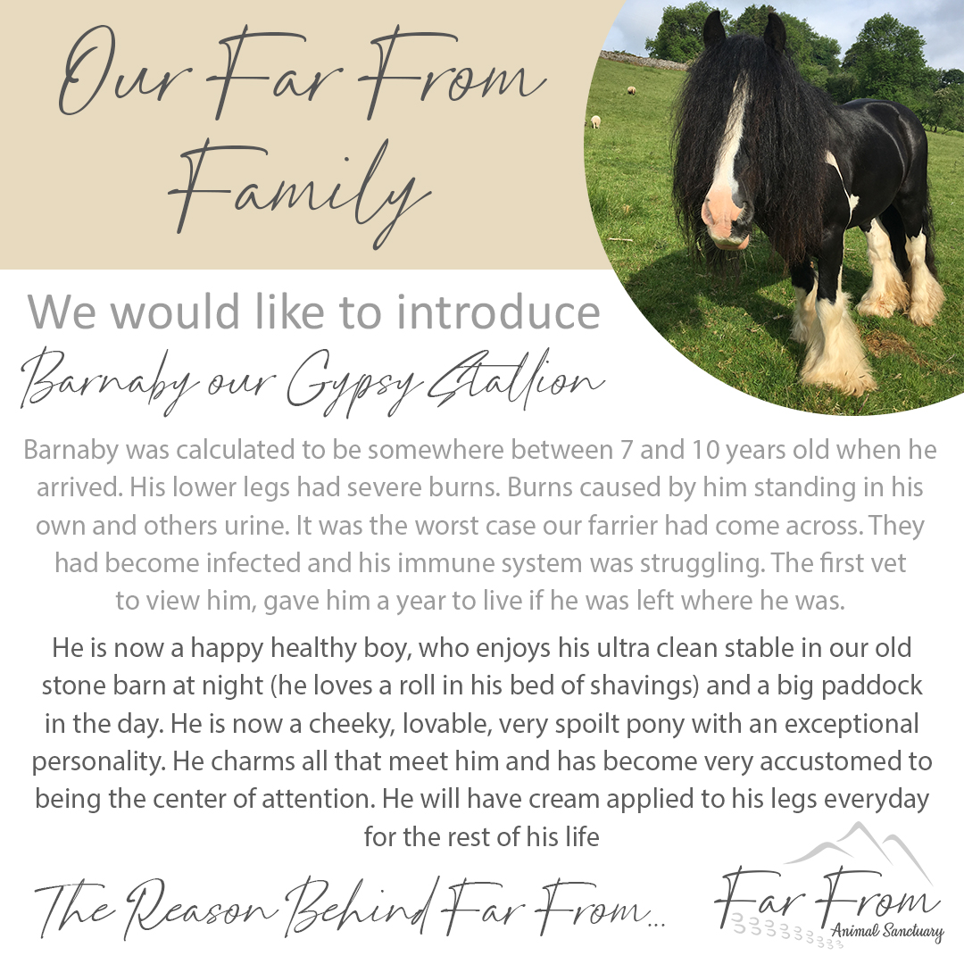 Far From - Brecon Beacons Holiday Retreat tweet media