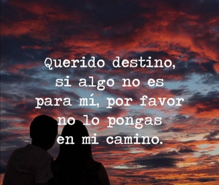 Paulo Coelho Español (@paulocoelhodice) on Twitter photo 