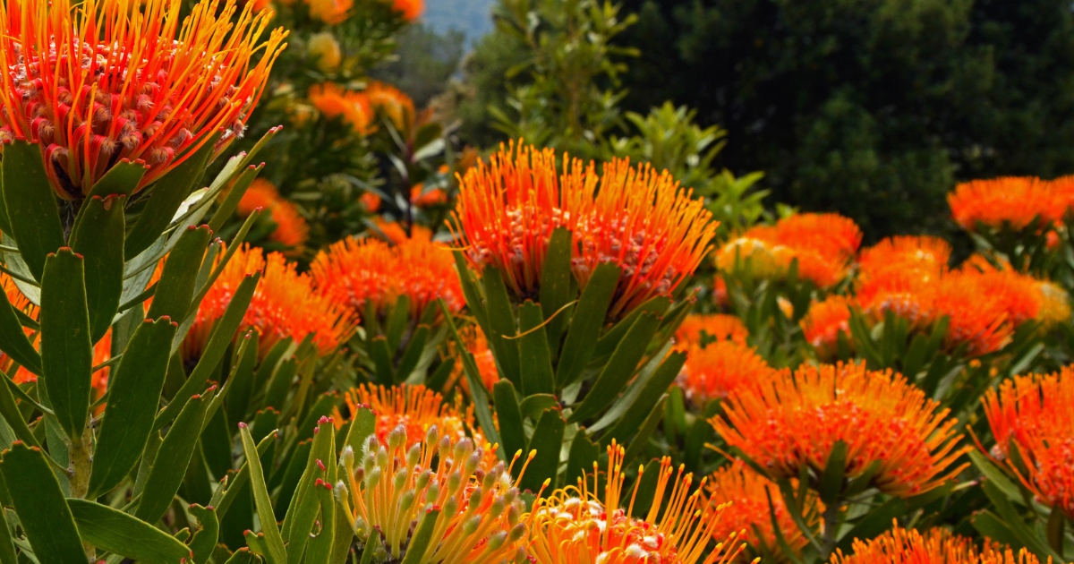 The Robertson Small tweet media