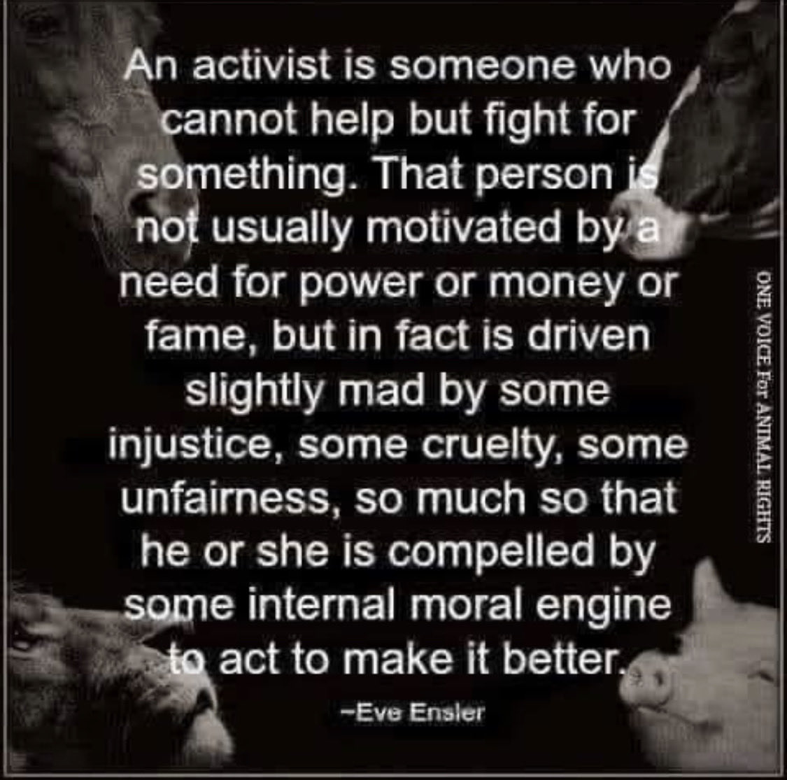 jacobkotze's tweet image. #BanTrophyHunting
#IllegalAnimalTrade #AnimalSmuggling #AntiFoxHunting #IllegalFoxHunting
#AntiFoxHunting
#AntiFurTrade 
#AnimalVictory 
#AnimalCruelty 
#AntiHareCoursing
#AnimalChineseMedicine
#AnimalChineseExploitationMedicine
#PetitionSign
#JusticeNotToLaw #PoliceDoYourJob