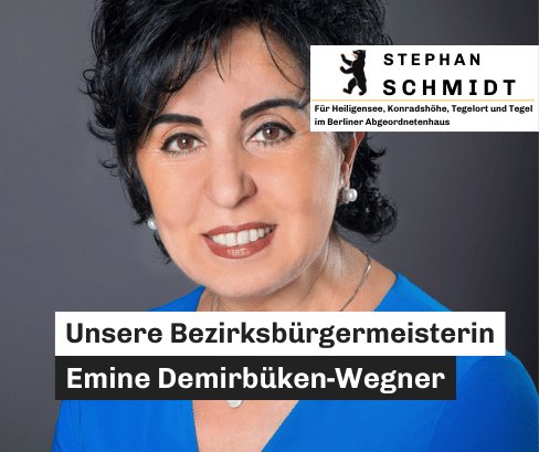 StSchmidtBerlin's tweet photo. Emine Demirbüken-Wegner ist neue #Bezirksbürgermeisterin von #Reinickendorf. 39 Ja, 9 Nein, 5 Enth. Tolles Ergebnis für eine großartige Politikerin.  ♥️Glückwunsch.  Eine neue Ära bricht an, die CDU ist wieder bestimmende politische Kraft im Bezirk!  @TspBerlin @rbb24 @morgenpost https://t.co/TnVjl46Xem