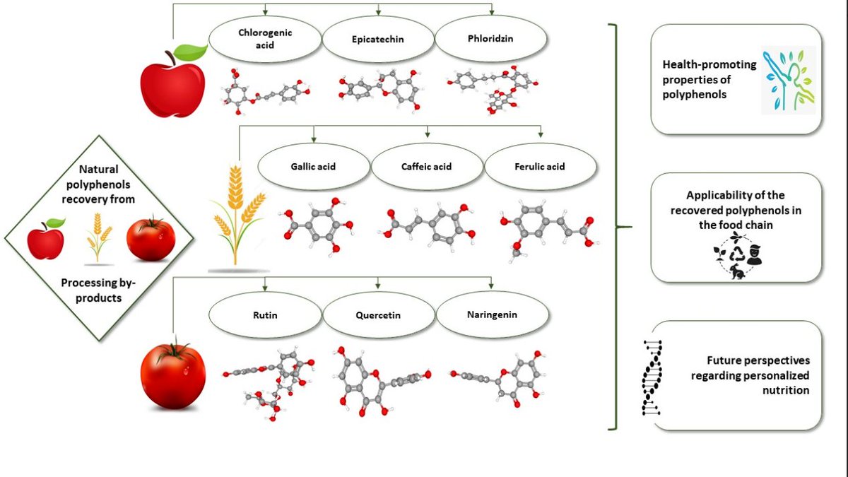 Molecules_MDPI's tweet photo. 📌#biologicalactivity #circulareconomy #healtheffects #wastemanagement
#New #Publication “Natural Polyphenol Recovery from Apple-, Cereal-, and Tomato-Processing By-Products and Related Health-Promoting Properties”
By: Dan Cristian Vodnar, et al.
👉https://t.co/1hAsK7ezw7 https://t.co/y8Eodg1887