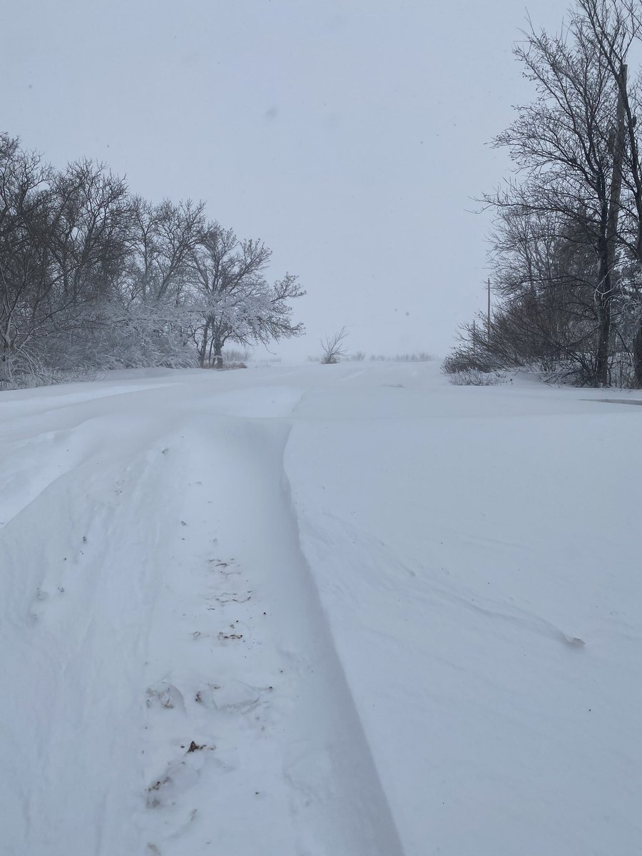 TanaCugnetArt's tweet photo. Did I really post about the spring thaw yesterday? Not so much today! 🤔🥶

#Saskatchewan #springblizzard https://t.co/6eV7uAUxIf
