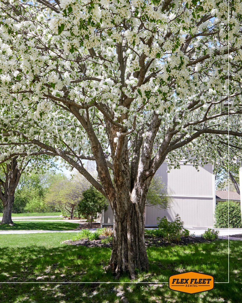 FlexFleet's tweet photo. The days are getting longer, which means more time to get things done! What projects are you looking forward to tackling this spring and summer? Let us know in the comments!

#FlexFleetRental https://t.co/r7lATU2TtE