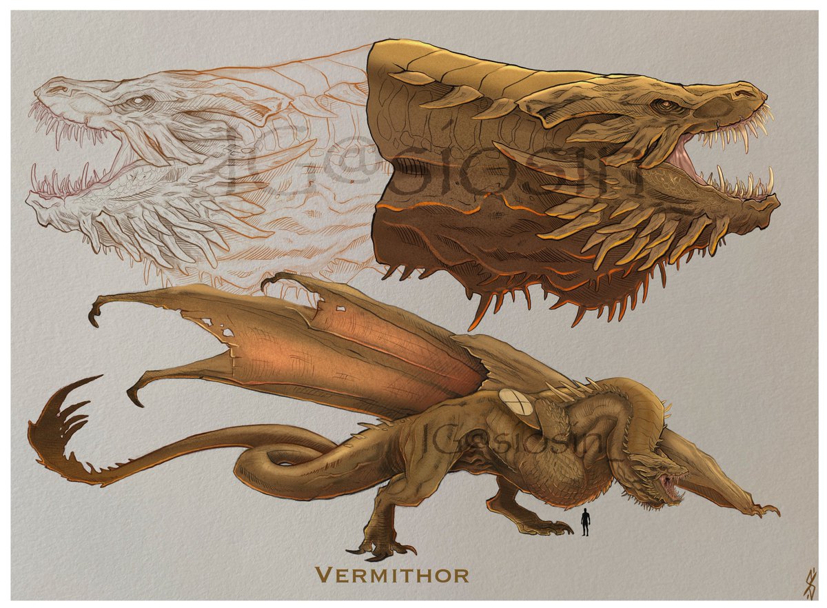 Siosin5's tweet image. Vermithor 
#hotd #HouseOfTheDragon #vermithor