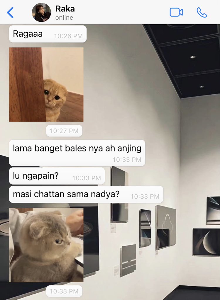 plantmygrav's tweet photo. ;Gaka Squad/Raga jelek
   ——nomin few tweets https://t.co/NFRLHz92DF