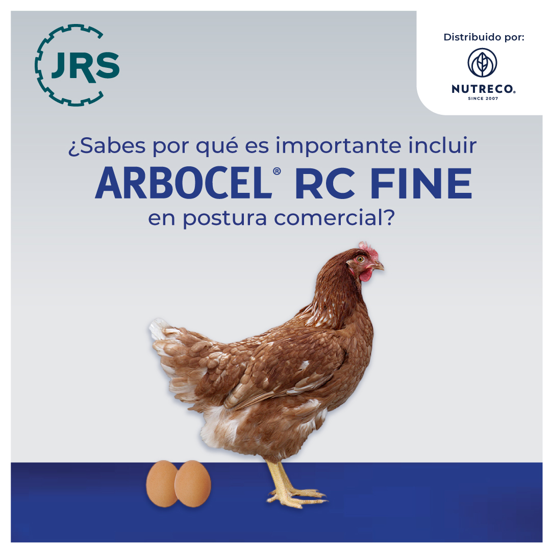 NutrecoSAS's tweet photo. ¿Sabes por qué es importante incluir ARBOCEL® RC FINE  en postura comercial?

Se ha comprobado en numerosos ensayos que ARBOCEL® RC FINE tiene un impacto positivo en la digestión de proteínas, lo que permite mejores resultados en puesta.

#NutrecoColombia #NutriciónAnimal https://t.co/UkukKPF3VF