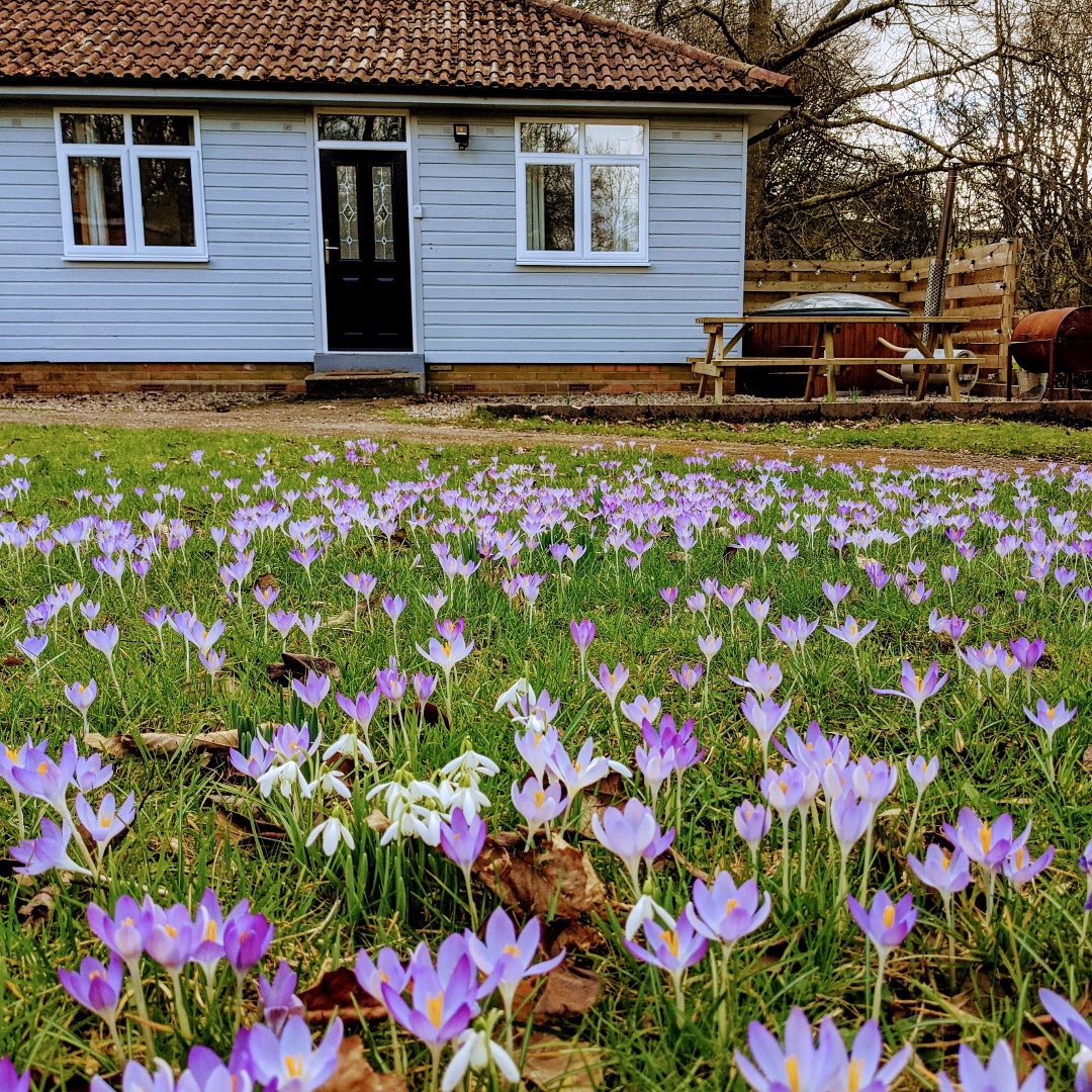 Boundless Outdoors tweet media