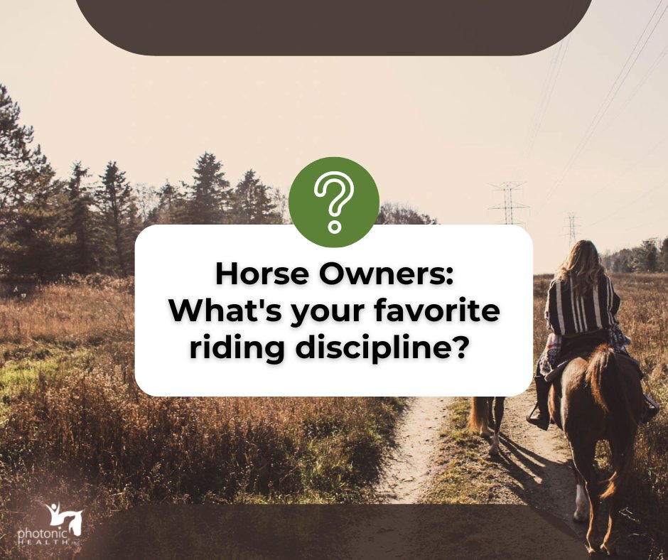 PhotonicHealth's tweet image. Happy Question Wednesday! 

This week's question is for the horse owners: What's your favorite riding discipline? 

Share in the comments below, &amp;amp; let's celebrate our love for horses together! 🐴

#QuestionWednesday #FavoriteRidingDiscipline #HorseOwnersUnite